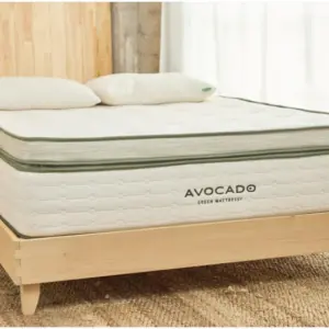 avocado box top
