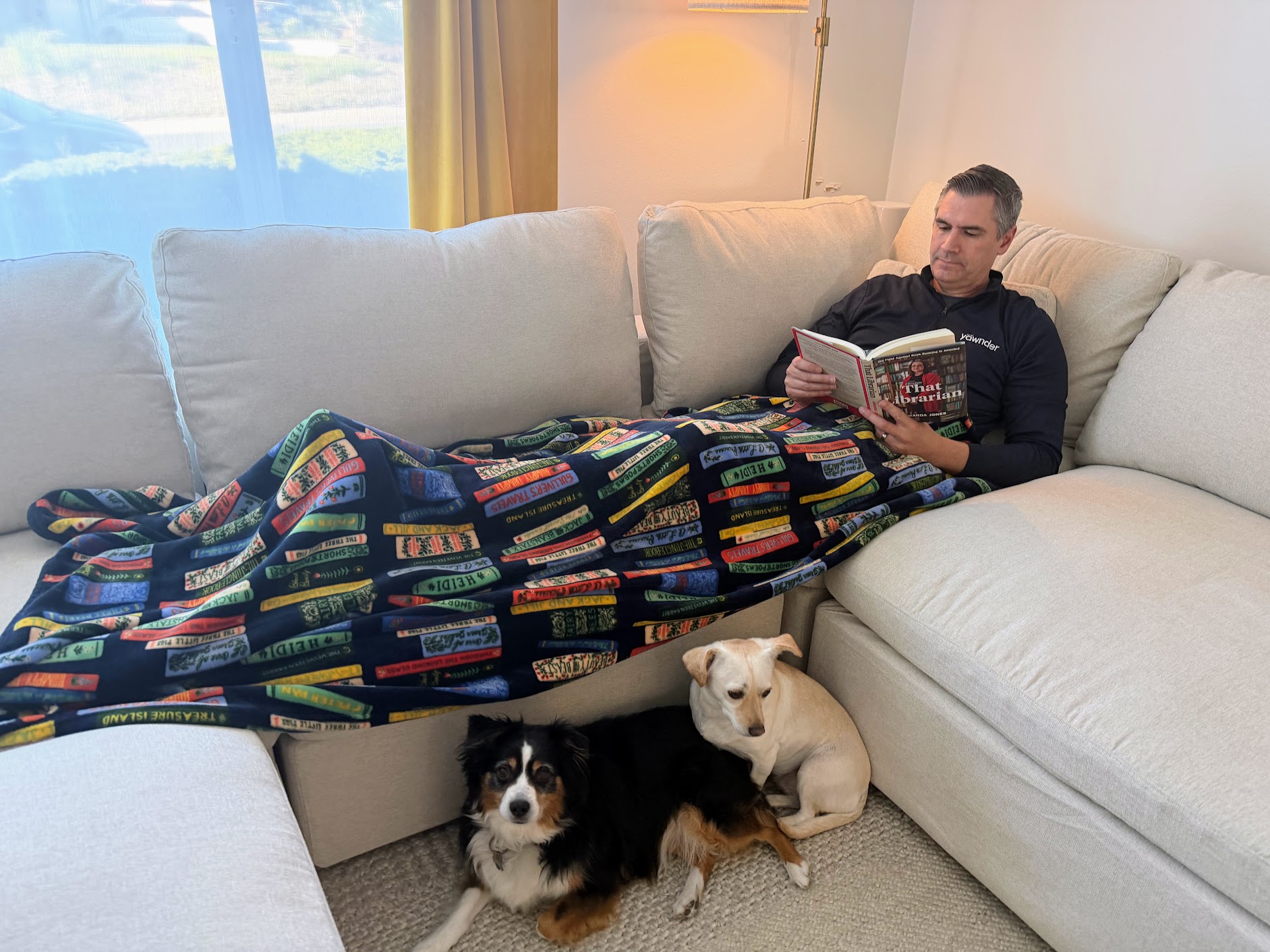 7th Avenue cushion and cover system