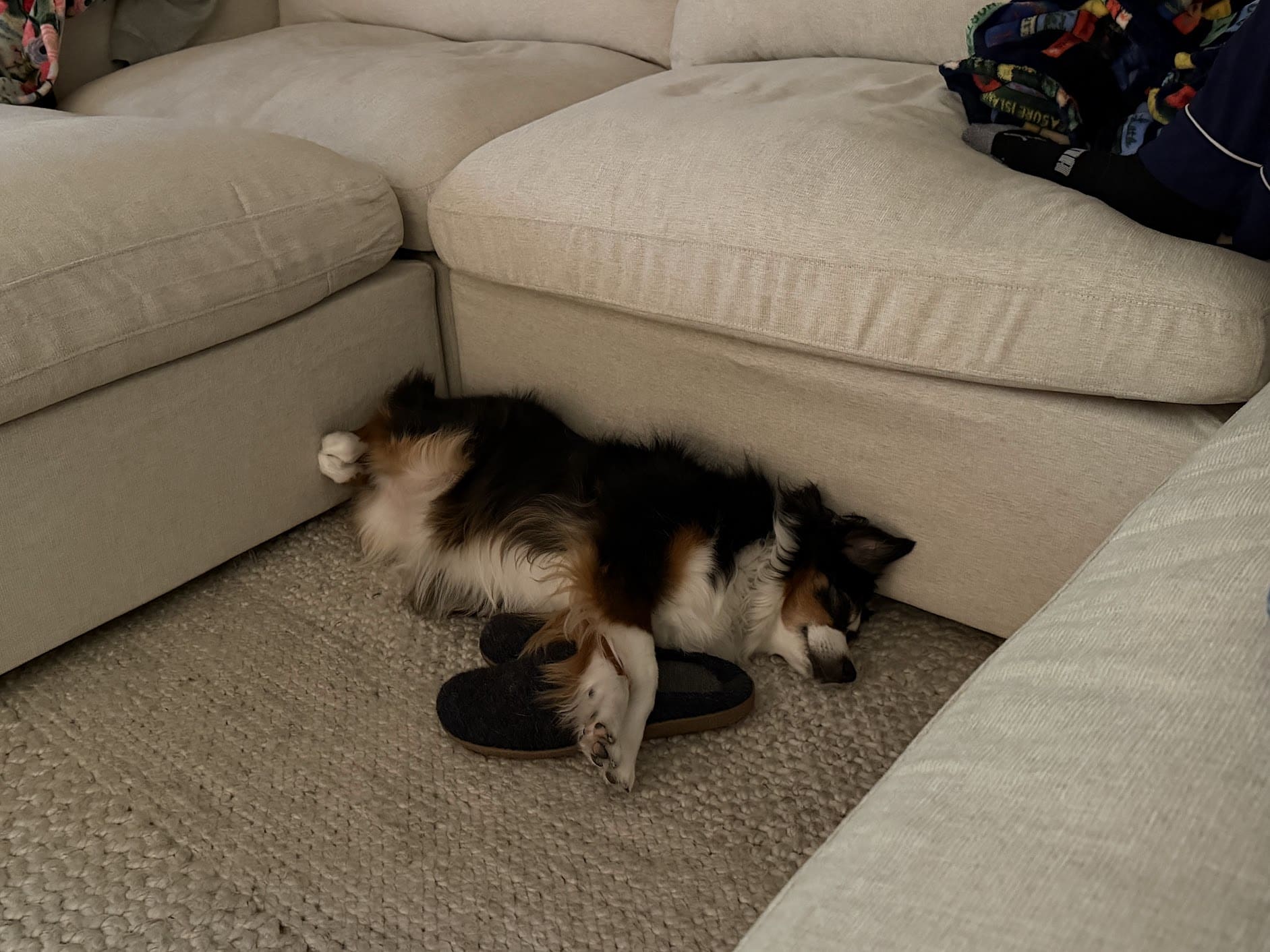 Relaxed seating on the 7th Avenue couch