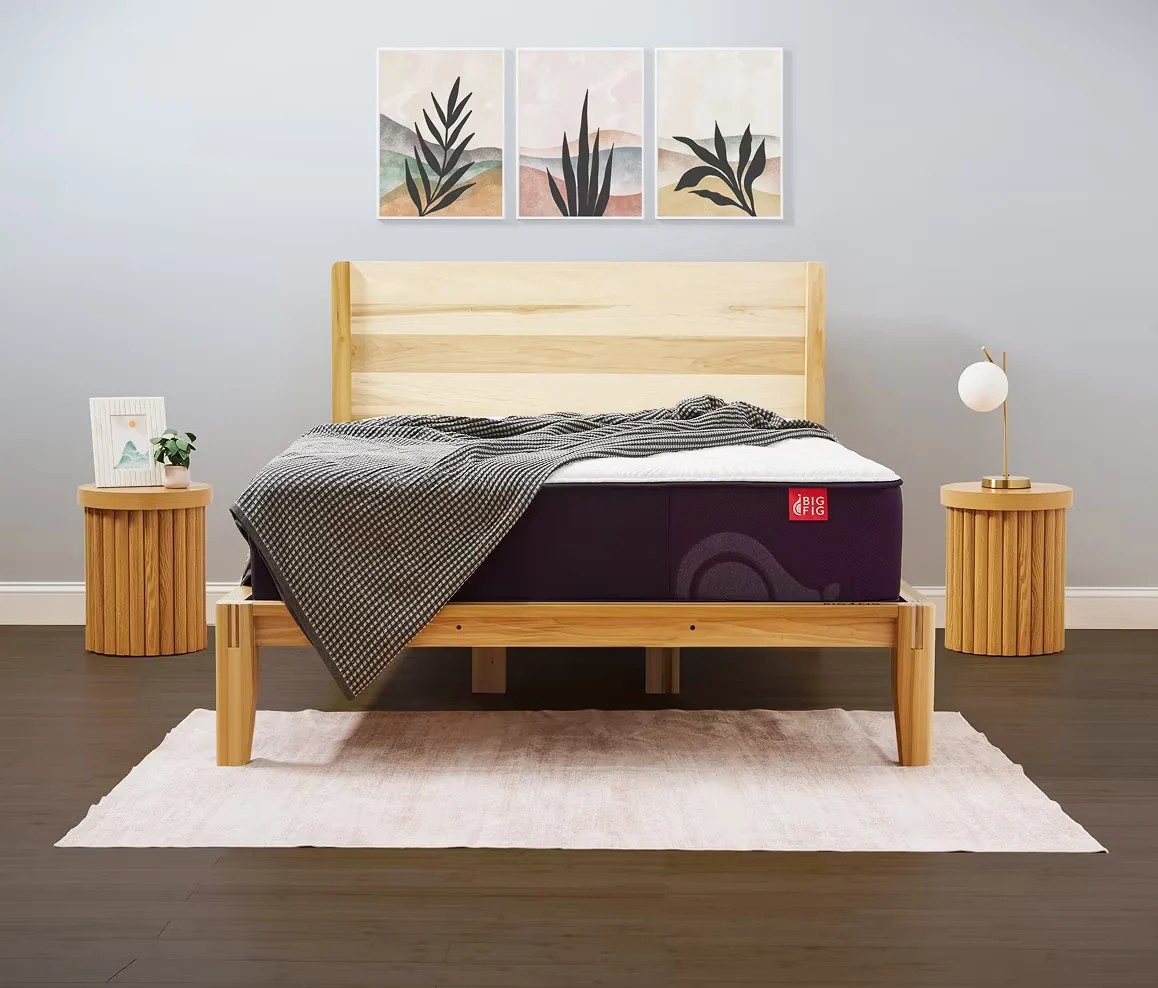 Big Fig Classic Mattress in Queen size, the medium-firm model in the lineup