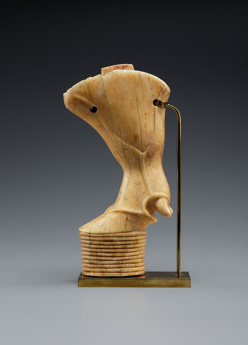 Ivory furniture leg shaped like a bull’s hind leg from ancient Egypt