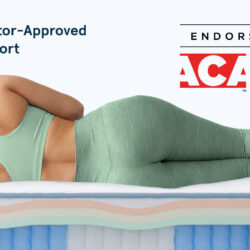 Bear Elite Hybrid American Chiropractic Association endorsement