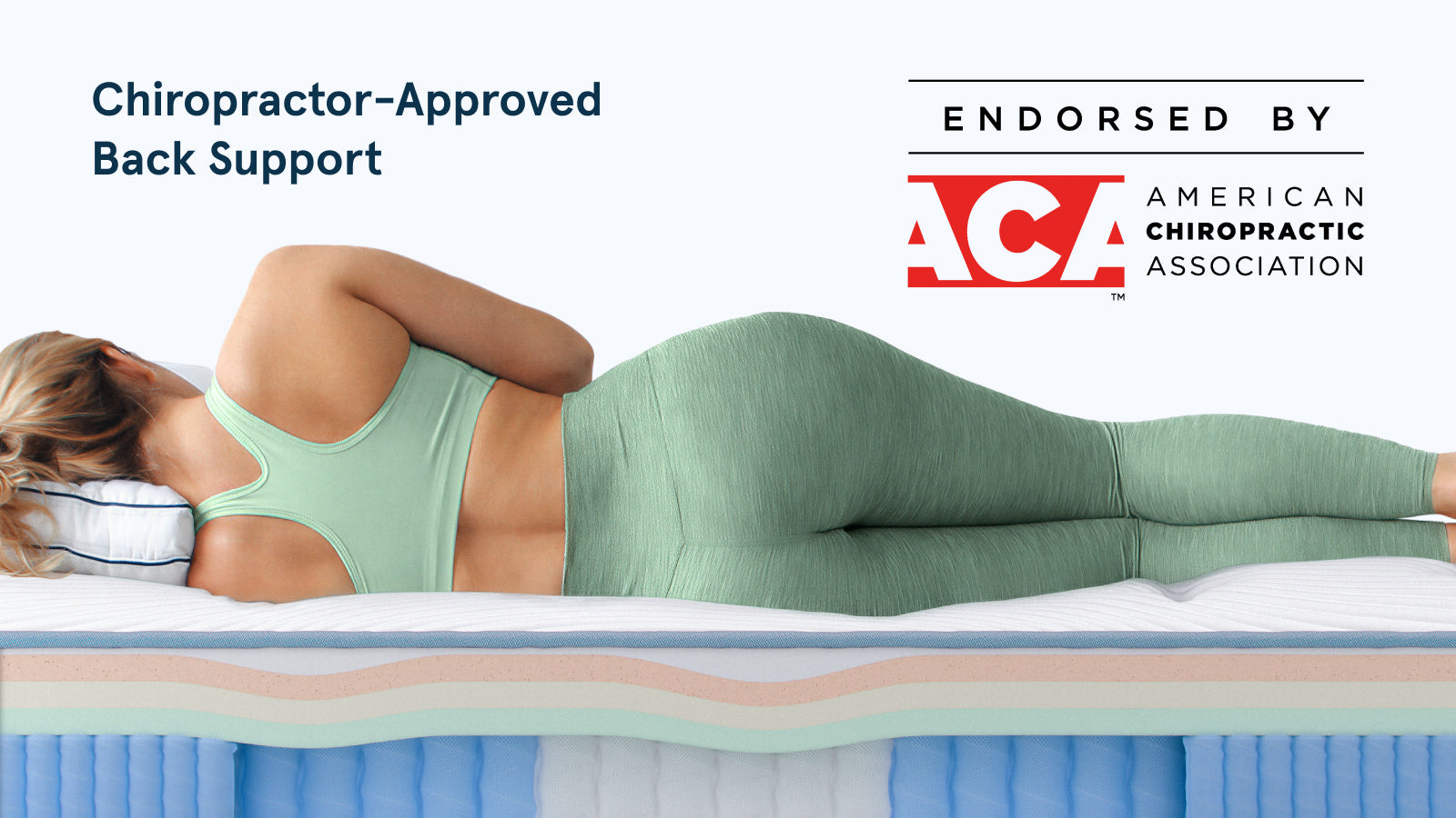Bear Elite Hybrid American Chiropractic Association endorsement