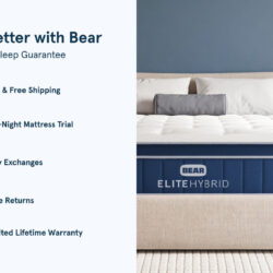 Bear Elite Hybrid mattress comfort and support features