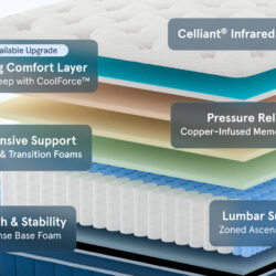 Bear Elite Hybrid mattress construction layers