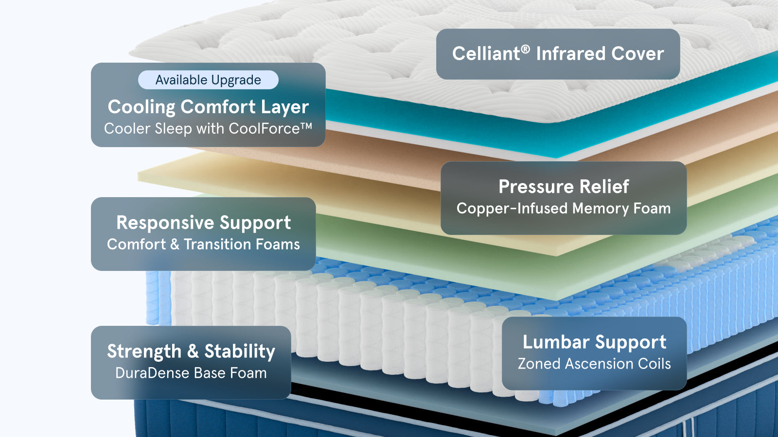 Bear Elite Hybrid mattress construction layers