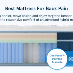 Bear Elite Hybrid mattress key benefits