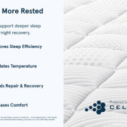 Bear Original Mattress product gallery image 2