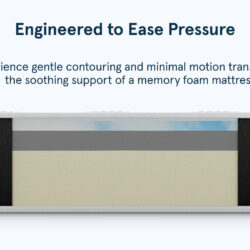 Bear Original Mattress product gallery image 5