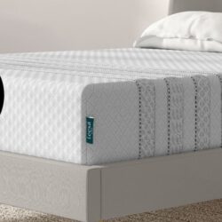 Leesa Sapira Hybrid official product image