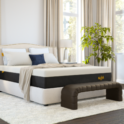 Nolah Signature 12 product gallery image 2