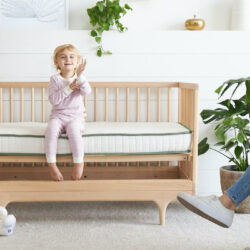 Organic Crib Mattress