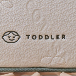 TRANSITION TO THE TODDLER SIDE