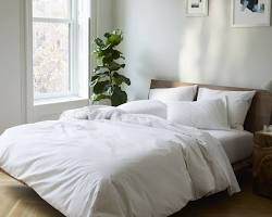 Image of Brooklinen duvet covers
