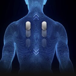 nexus_body-scan