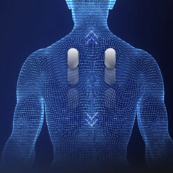 Orion_Duo_bodyscan