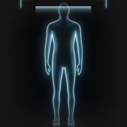 Body Scan System