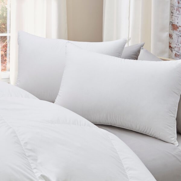 Down Decor Premium German Batiste White Goose Down Pillow