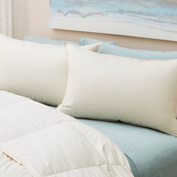 Down Decor 300TC 100% Cotton Lanadown Pillow