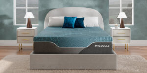 Molecule Reflex Elite Hybrid 14-inch mattress, plush model, official product photo