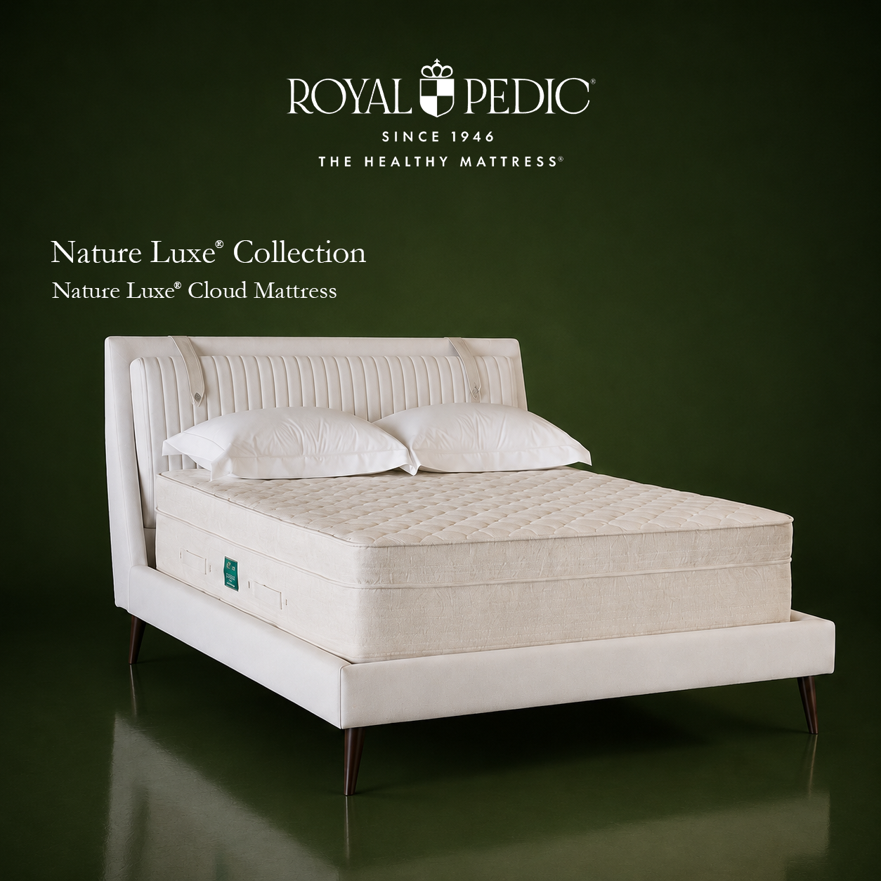 Royal-Pedic Nature Luxe Cloud mattress with quilted top
