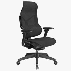 Sunaofe Morph Classic black ergonomic office chair, front angle