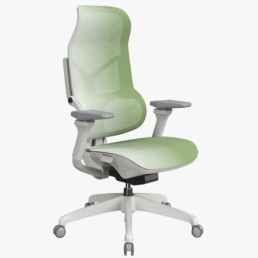 Sunaofe Morph Edition in gradient green