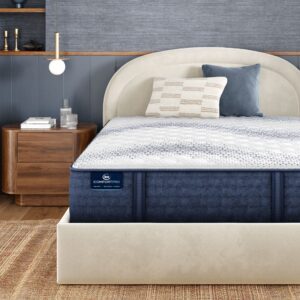 Serta iComfortPro Level 3